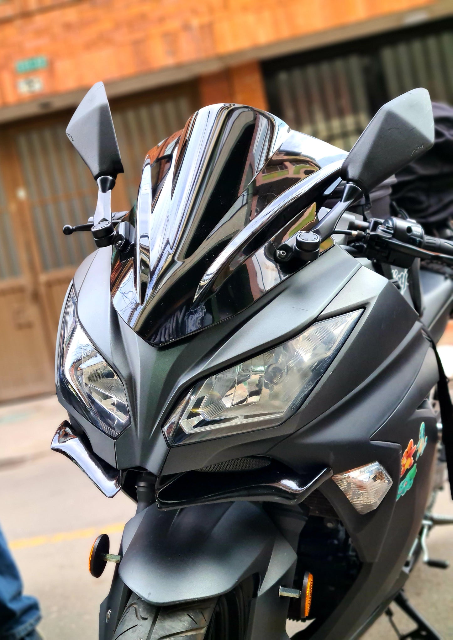 ALERON WINGLET KAWASAKI NINJA 300-250