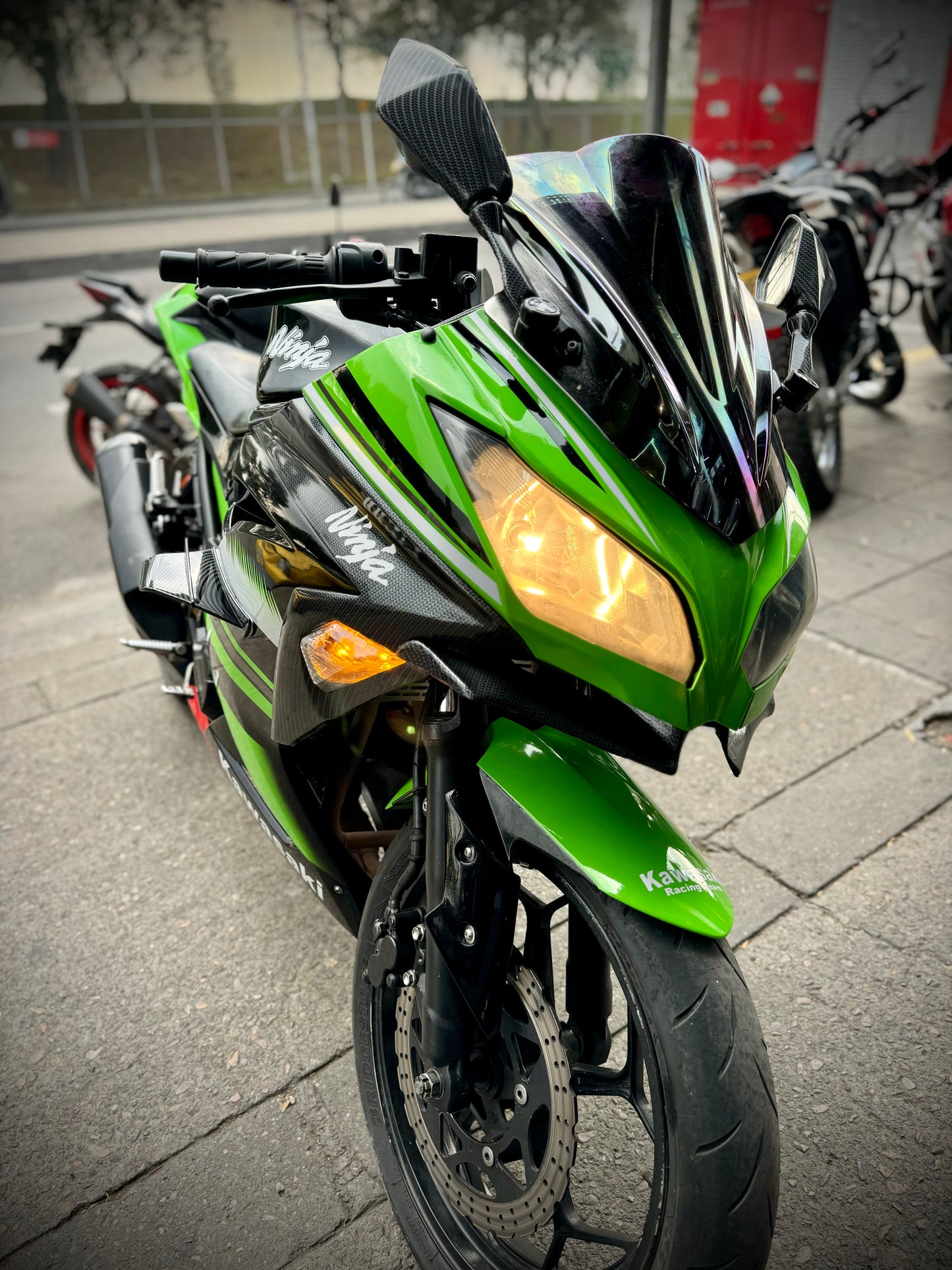 ALERONES CARBON KAWASAKI NINJA300