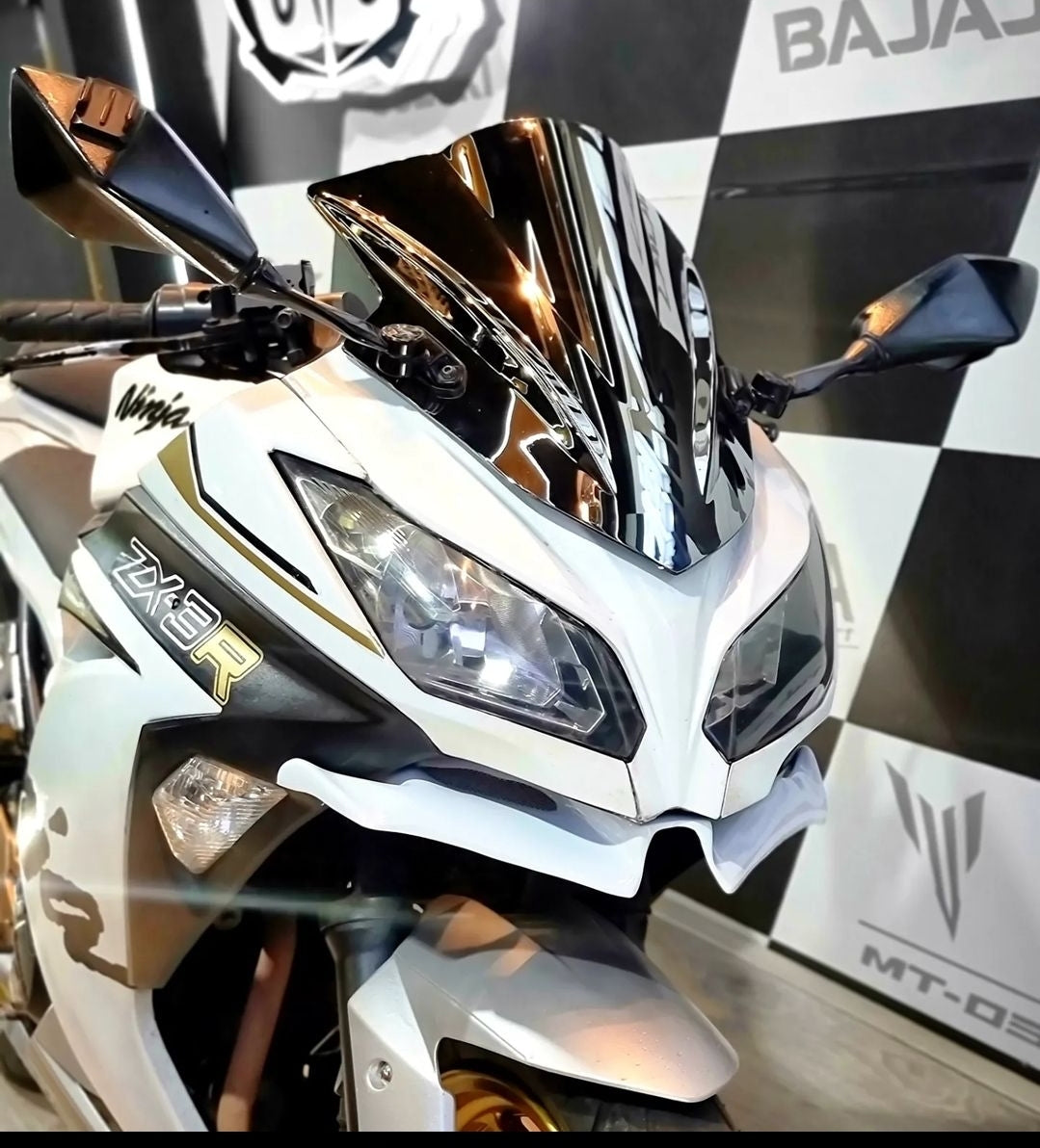 ALERON WINGLET KAWASAKI NINJA 300-250