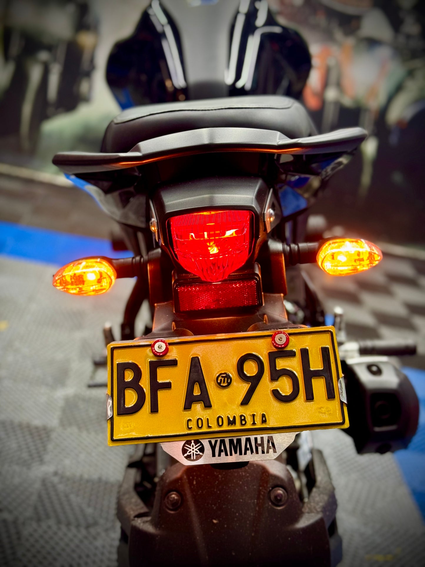 PROTECTOR DE PLACA PULSAR RS200