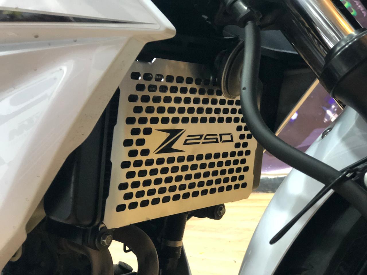 PROTECTOR DE RADIADOR KAWASAKI Z250