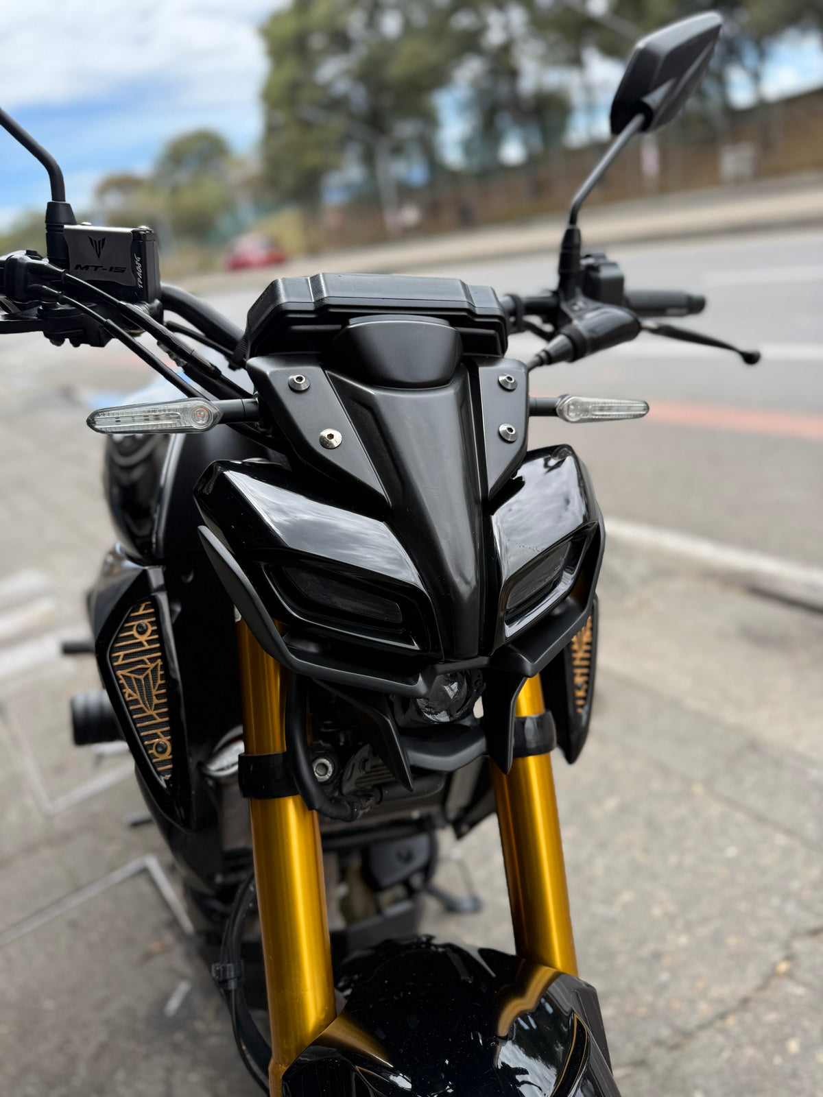 ALERON WINGLET YAMAHA MT15 MODELO 2