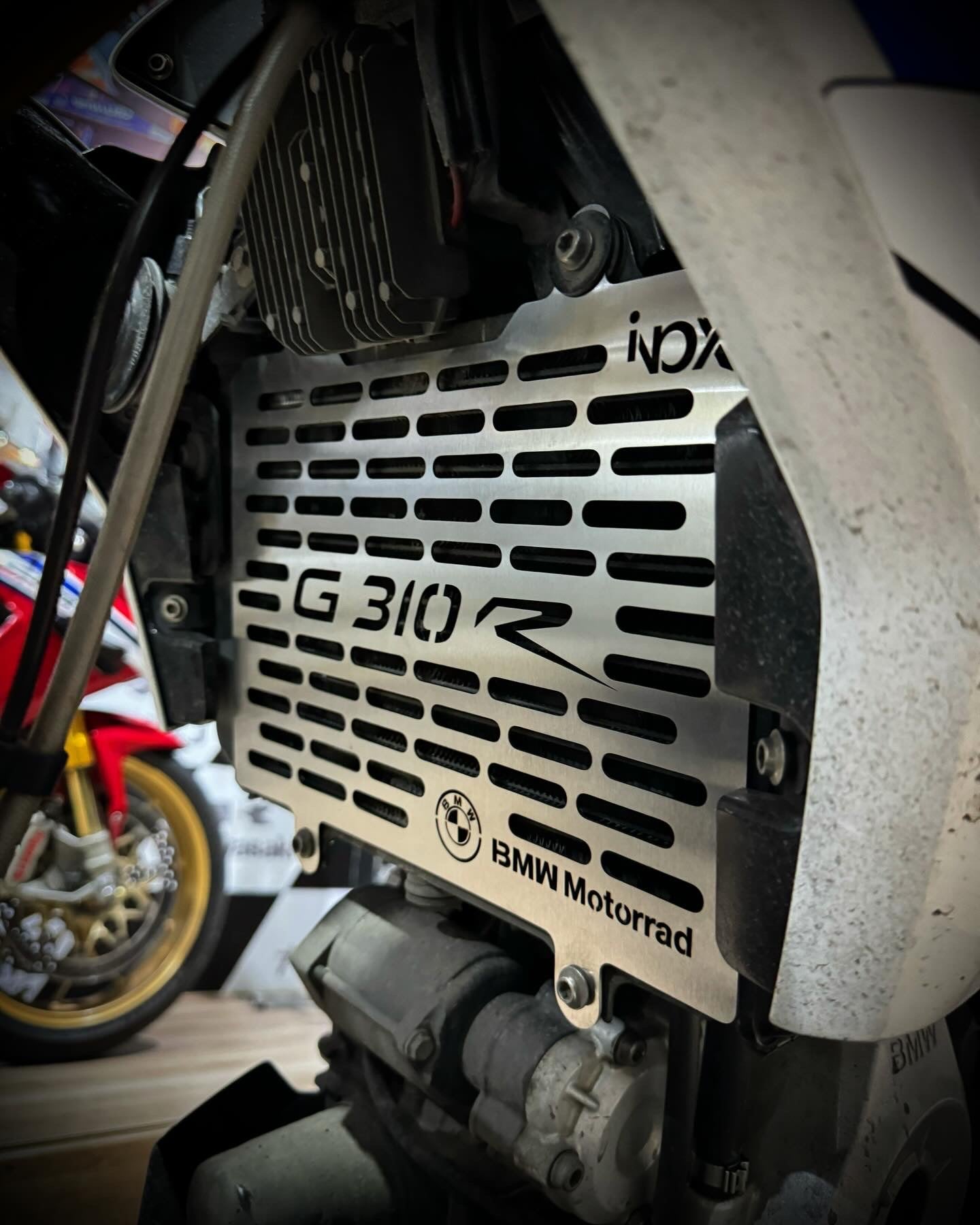 PROTECTOR RADIADOR BMW G310R
