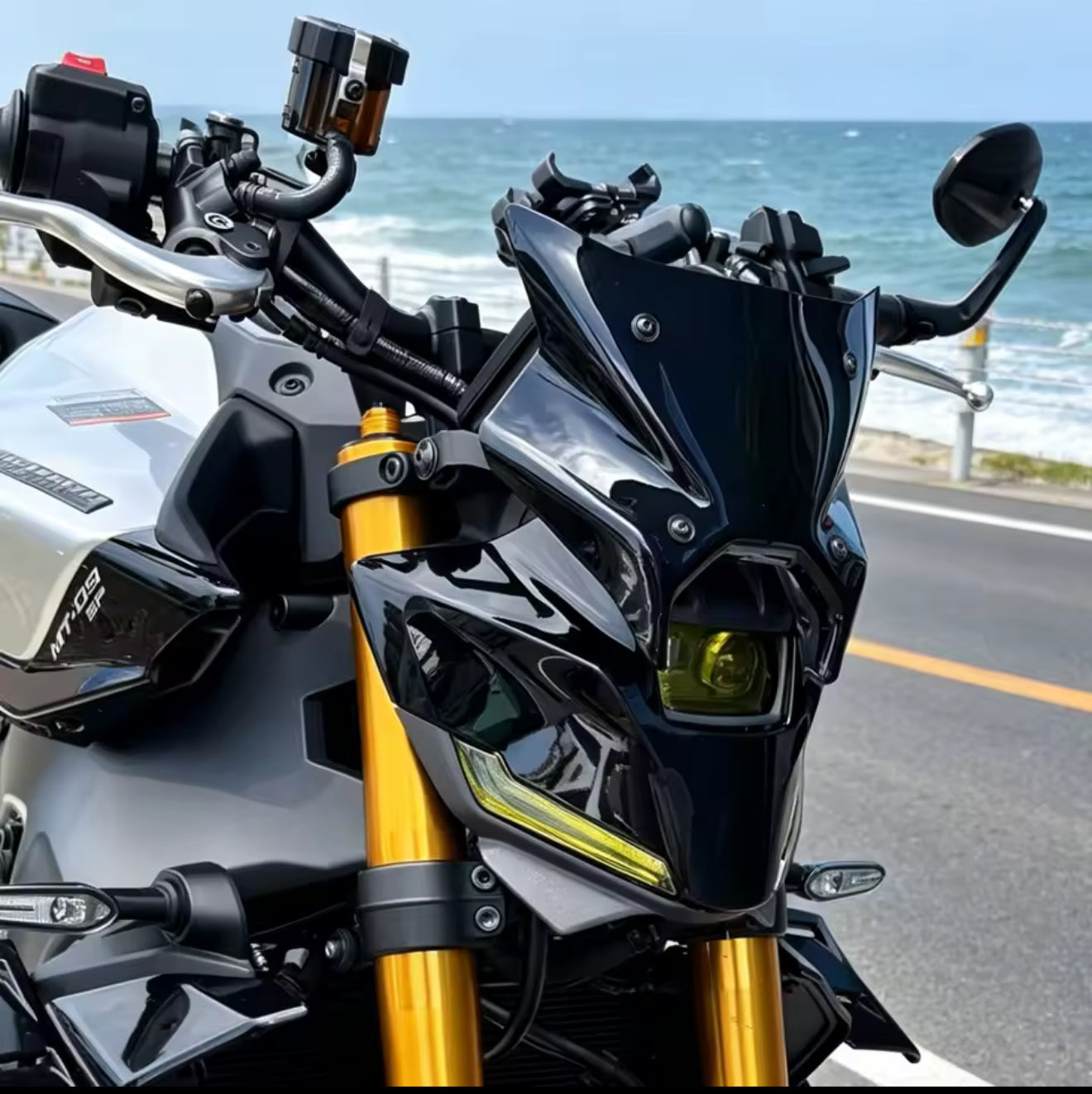 CUPULA YAMAHA MT09V4